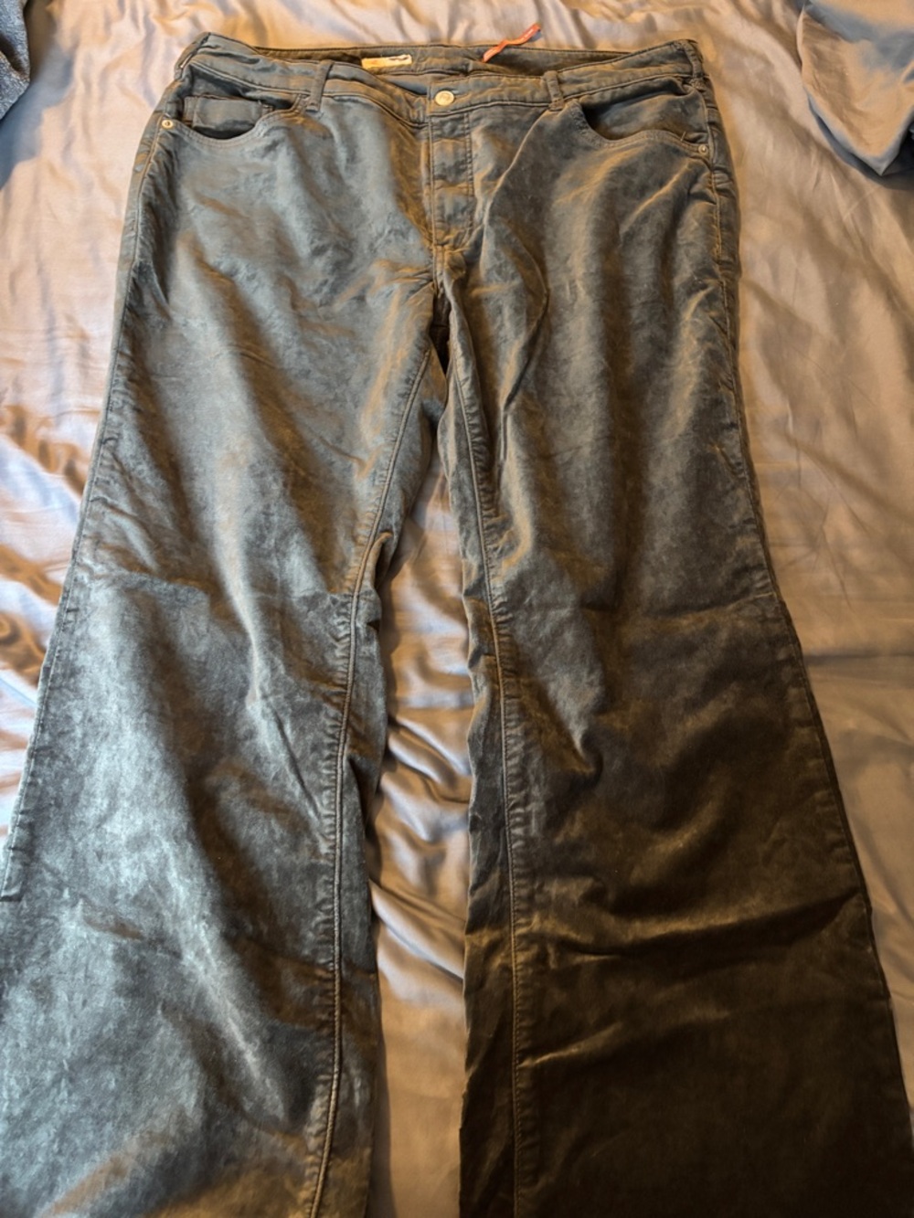 Anthropologie Silver/Gray Boot Cut Velvet Pants Pilcro 16W